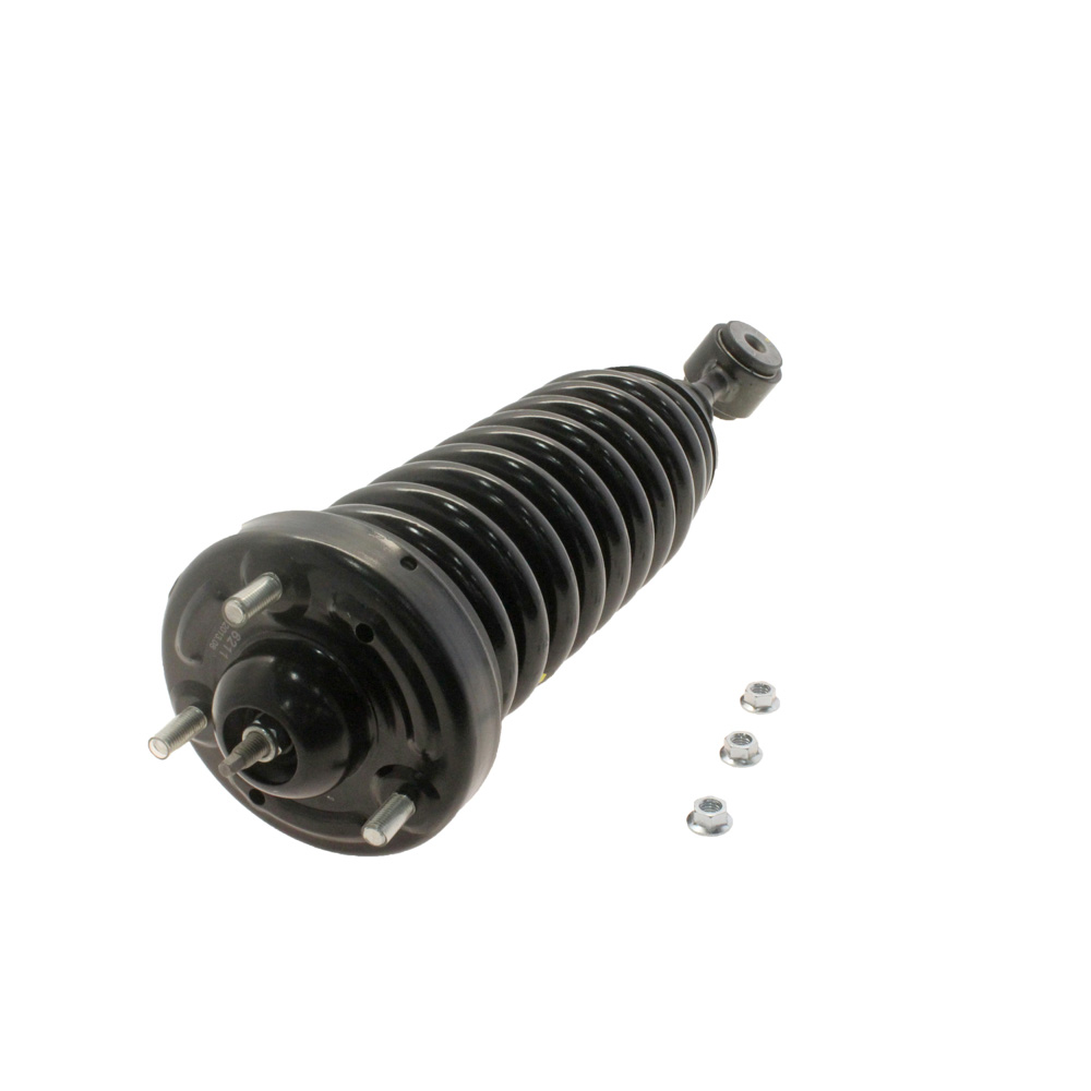 2004 Ford F Series Trucks Strut and Coil Spring Assembly