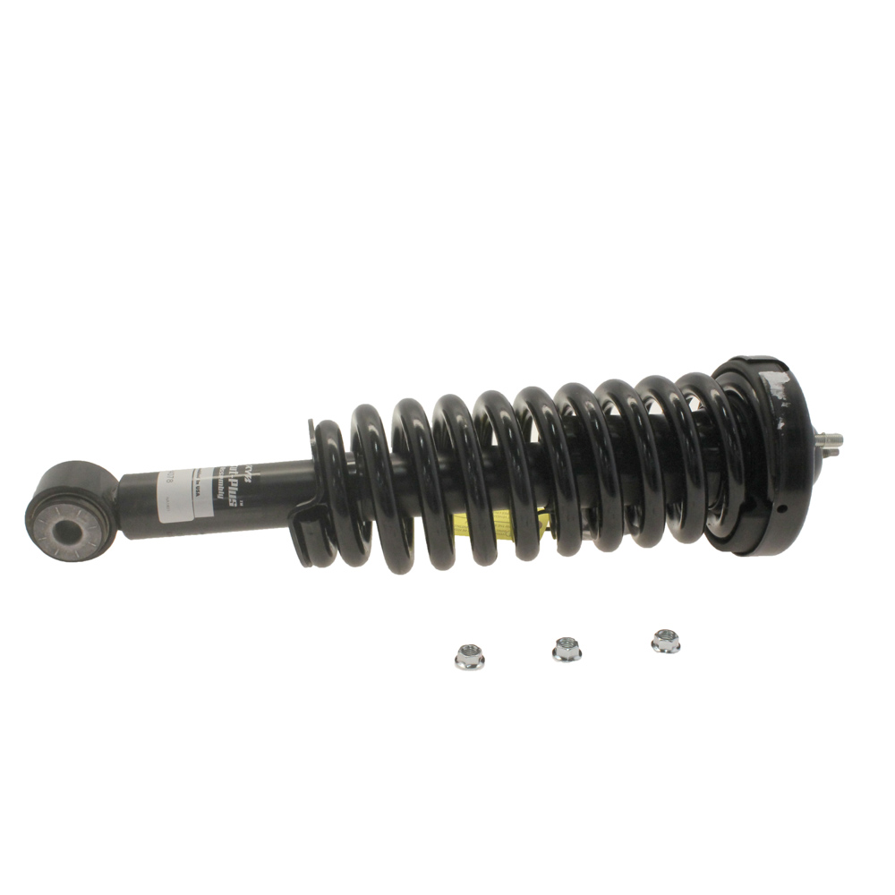 2004 Ford F Series Trucks Strut and Coil Spring Assembly