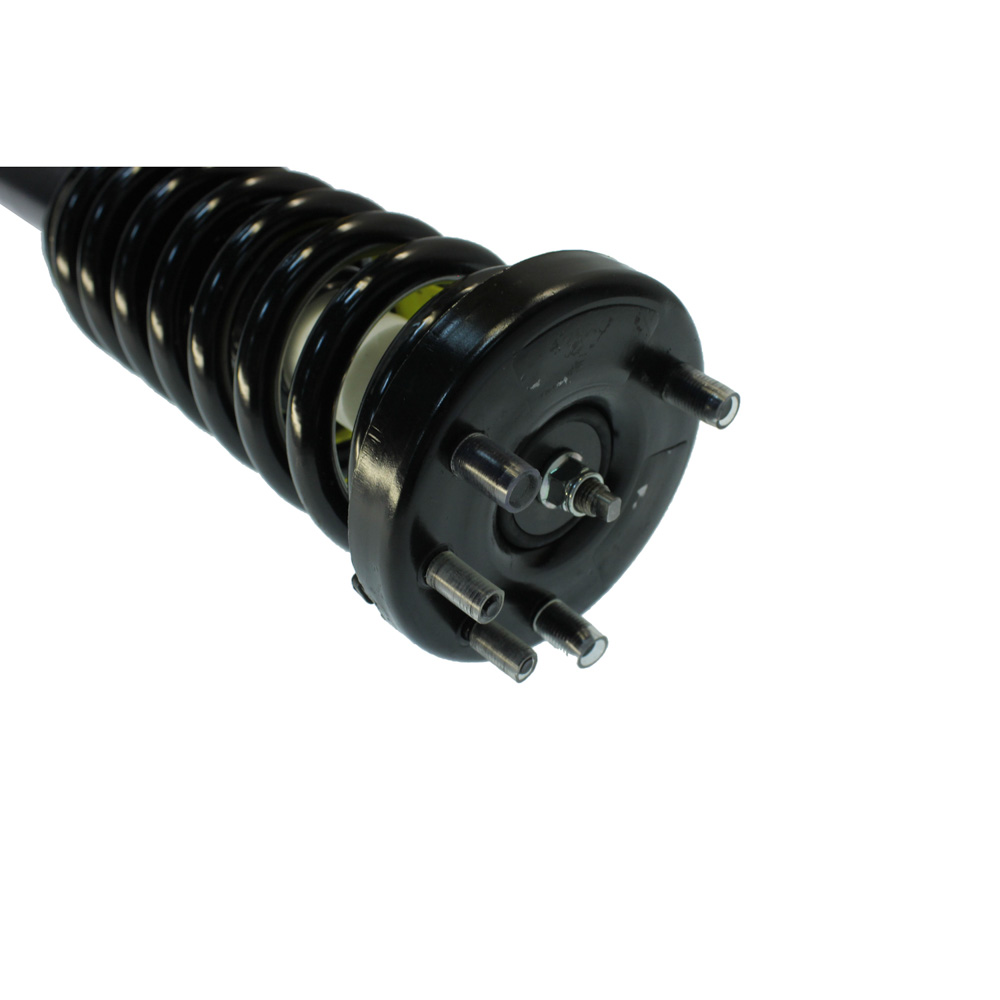 2007 Honda Accord Strut and Coil Spring Assembly