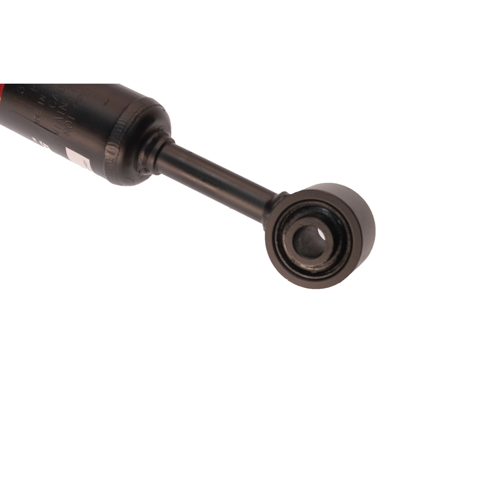 2004 Toyota 4Runner Strut and Coil Spring Assembly