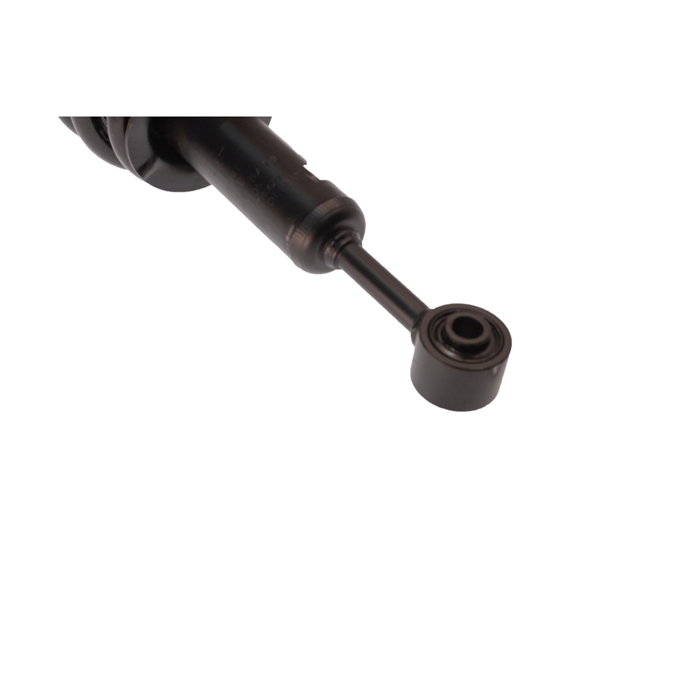 2007 Toyota Tacoma Strut and Coil Spring Assembly