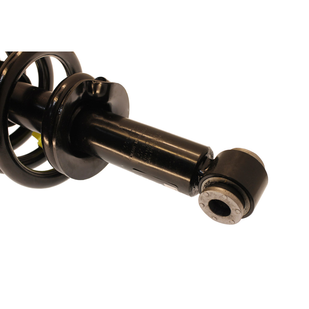 2003 Ford Expedition Strut and Coil Spring Assembly