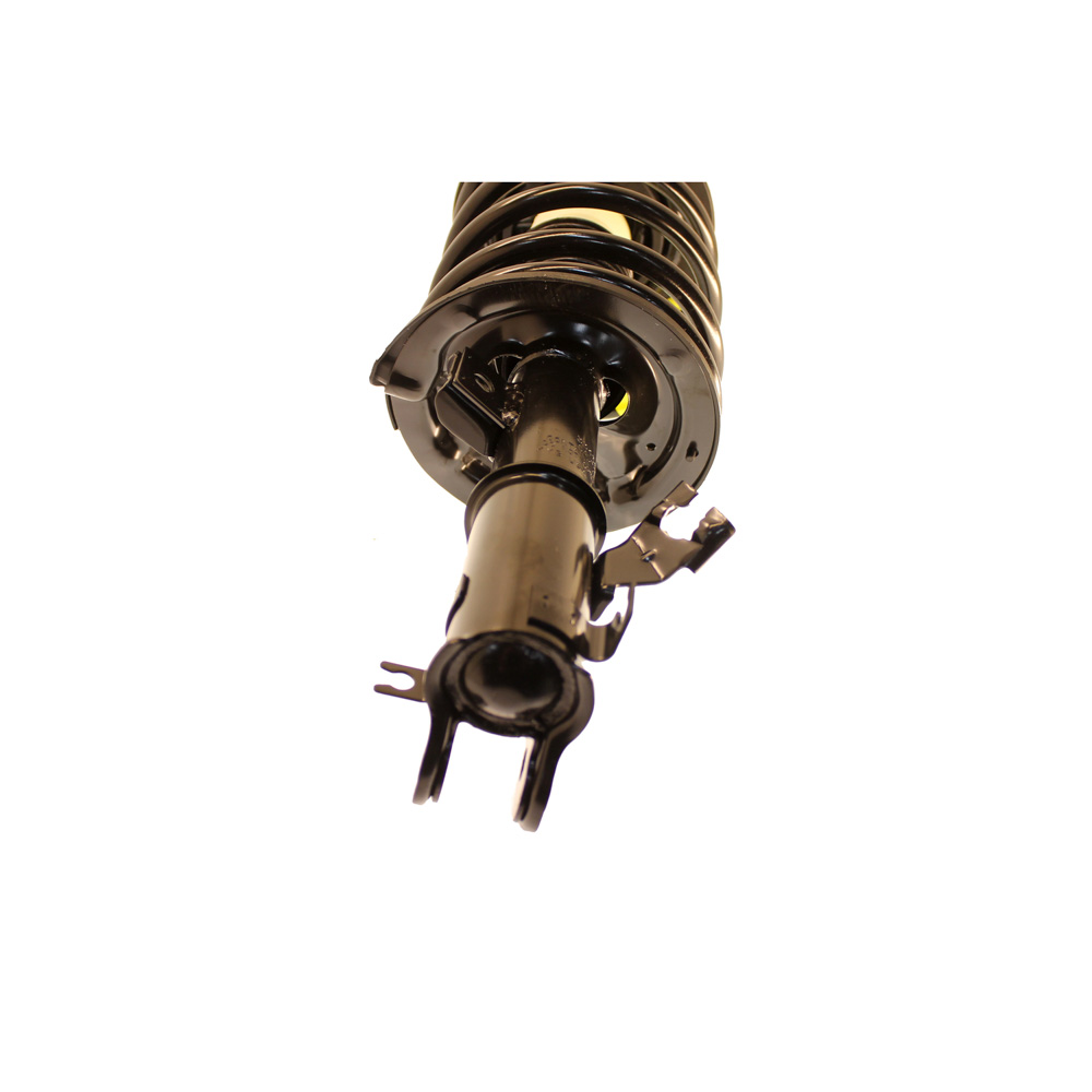 2003 Nissan Altima Strut and Coil Spring Assembly