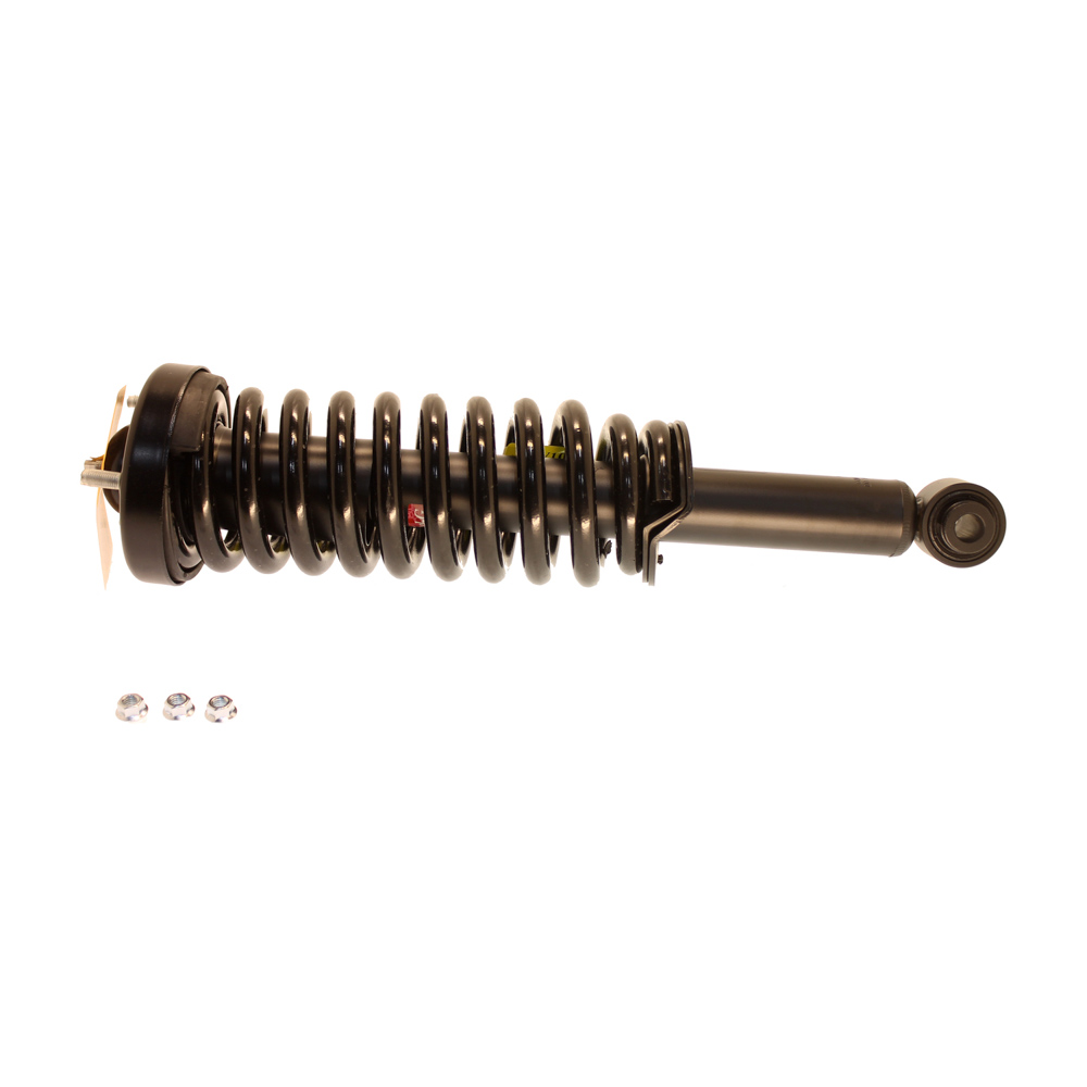 2009 Ford F Series Trucks Strut and Coil Spring Assembly