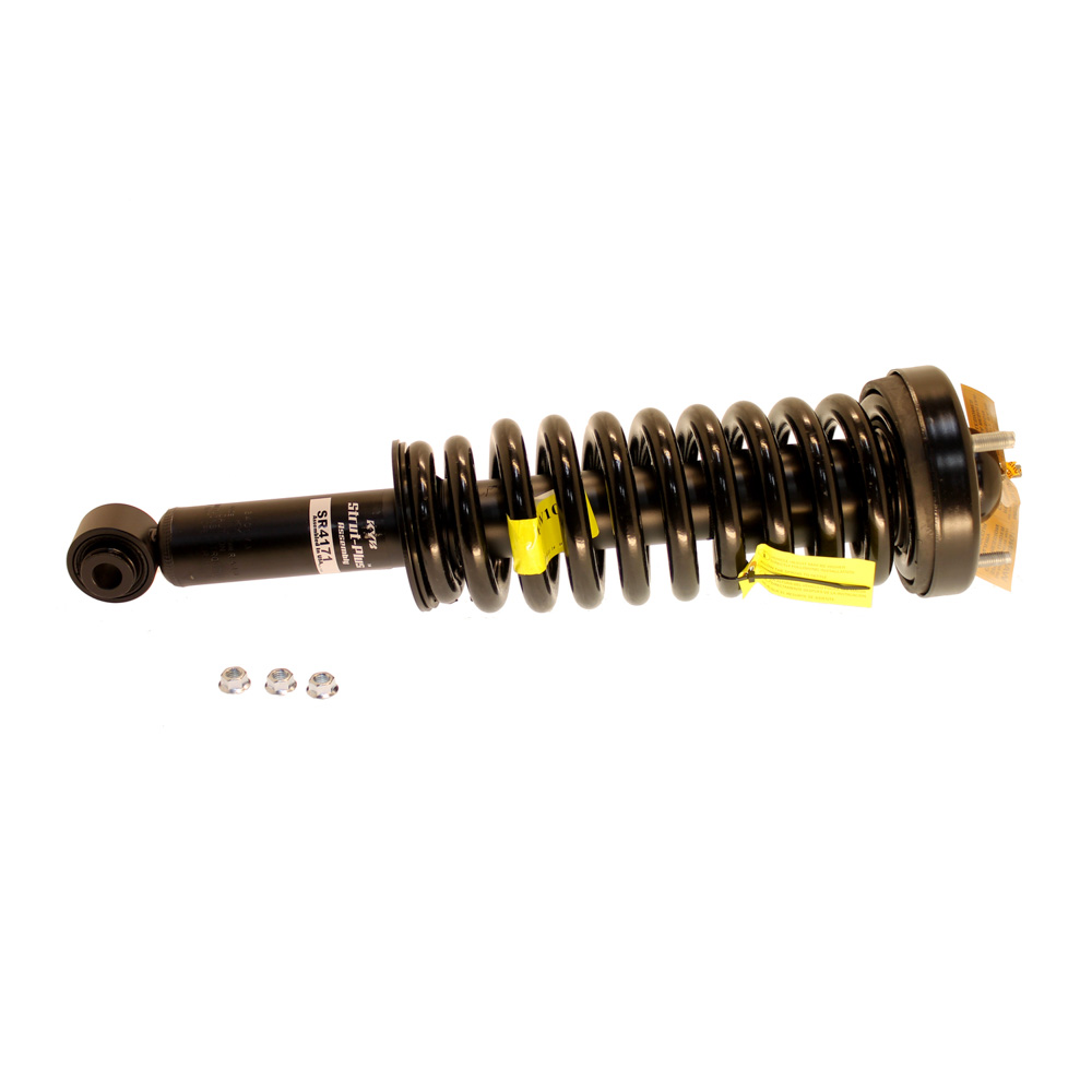 2009 Ford F Series Trucks Strut and Coil Spring Assembly