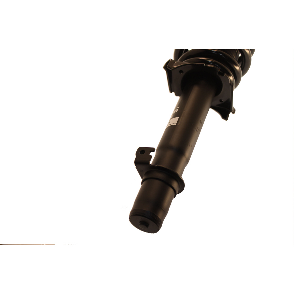 2008 Honda Accord Strut and Coil Spring Assembly