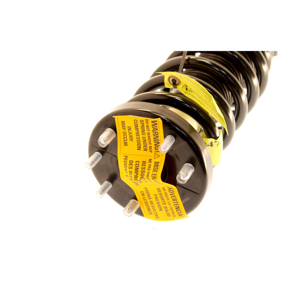 2009 Honda Accord Strut and Coil Spring Assembly