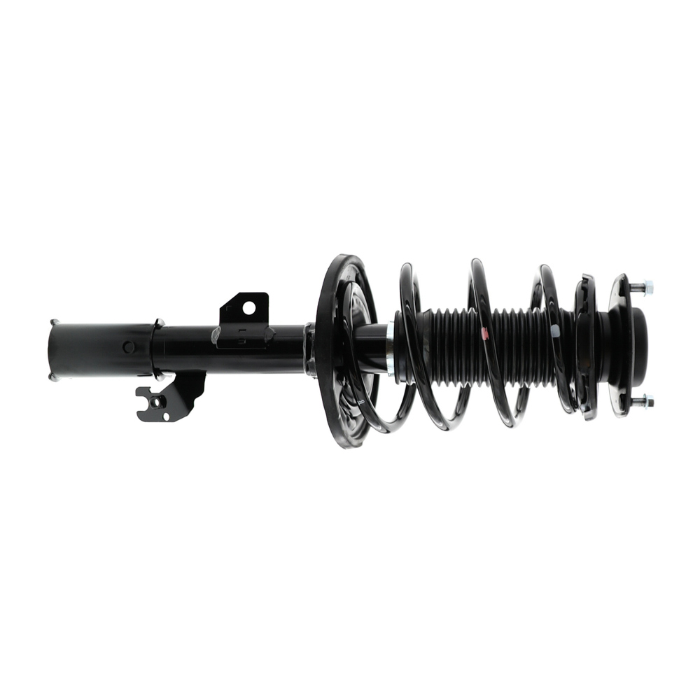 2009 Lexus ES350 Strut and Coil Spring Assembly