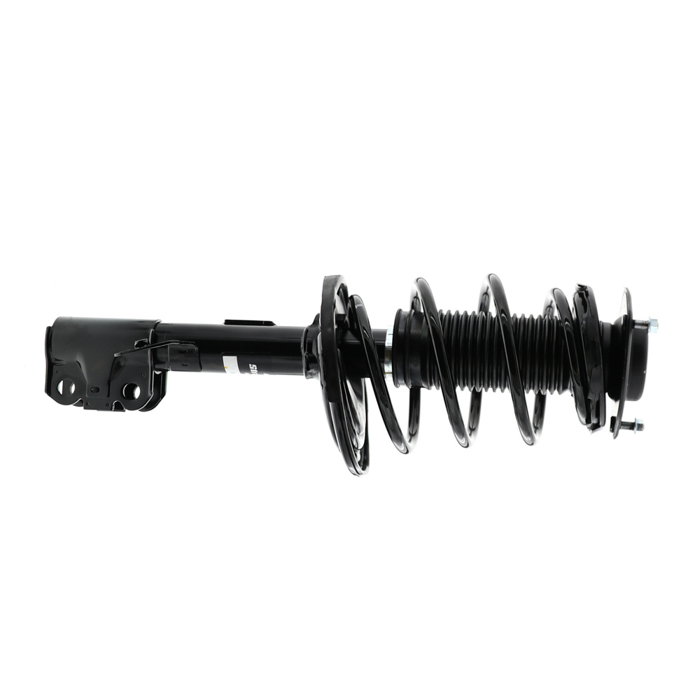 2009 Lexus ES350 Strut and Coil Spring Assembly