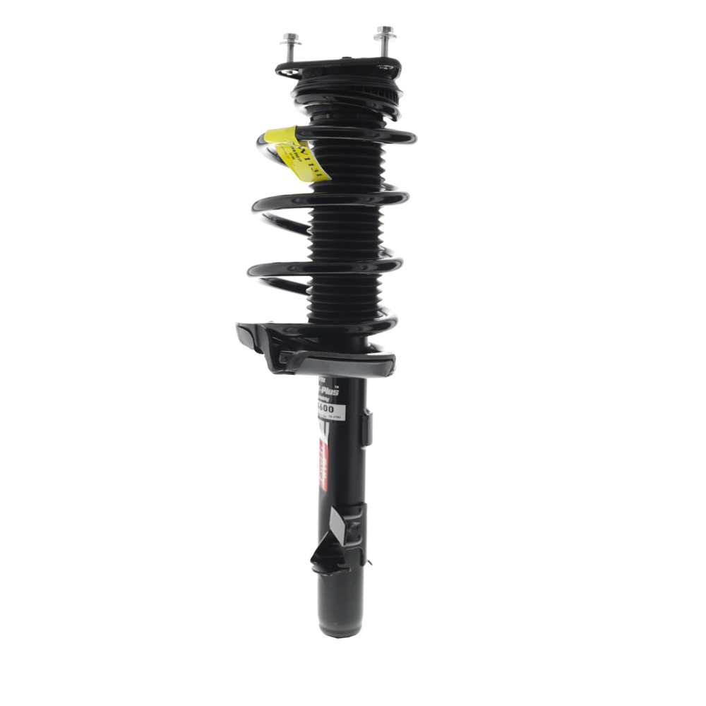 2013 Ford Escape Strut and Coil Spring Assembly
