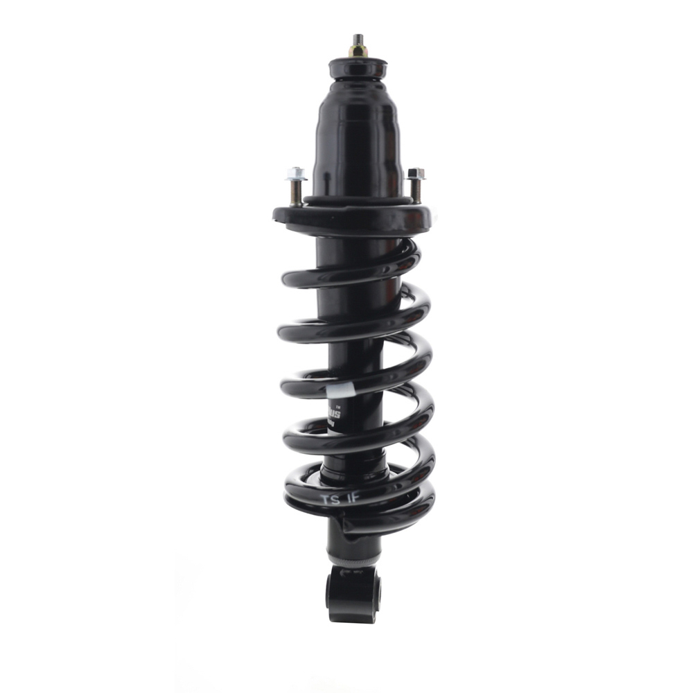 2007 Honda Element Strut and Coil Spring Assembly