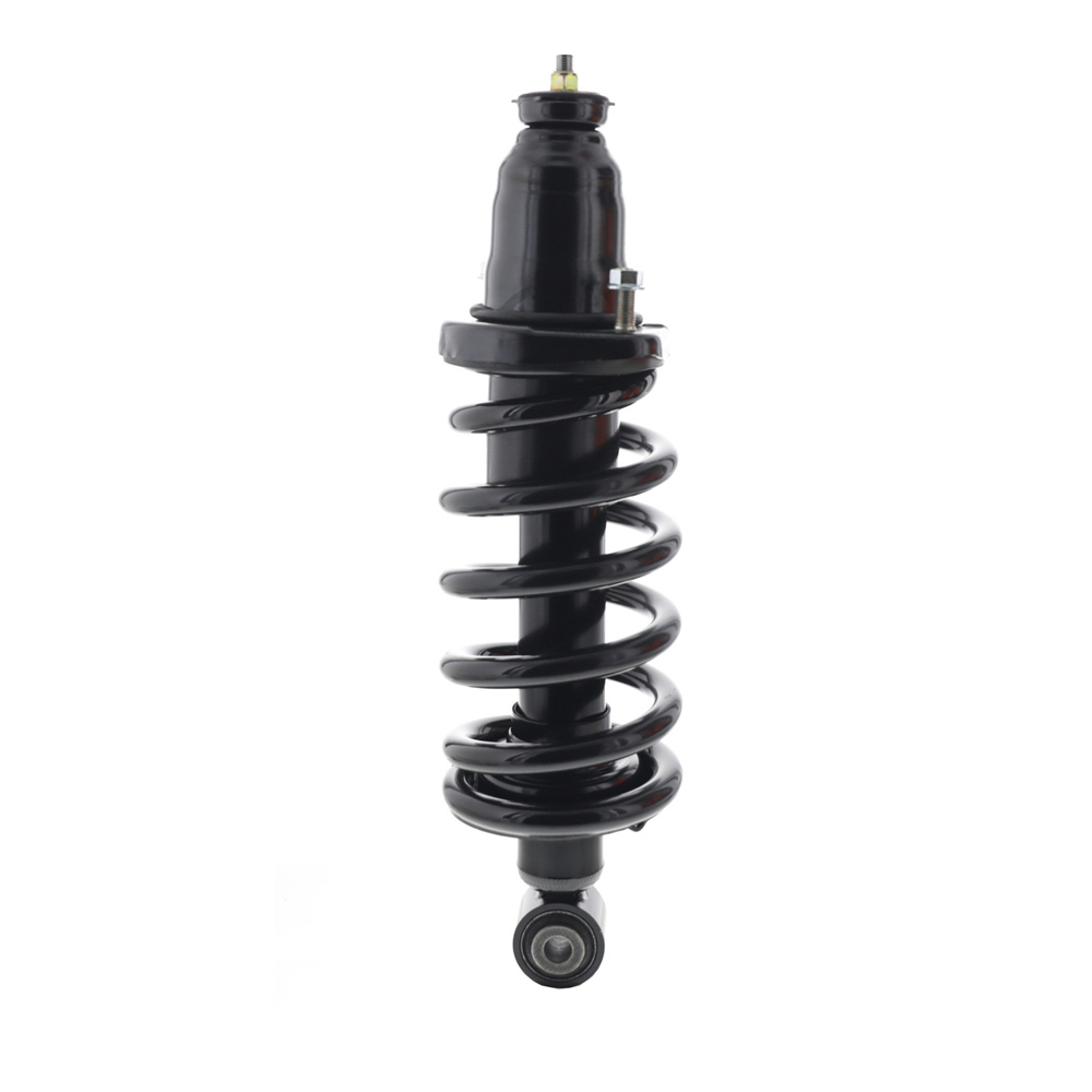 2007 Honda Element Strut and Coil Spring Assembly