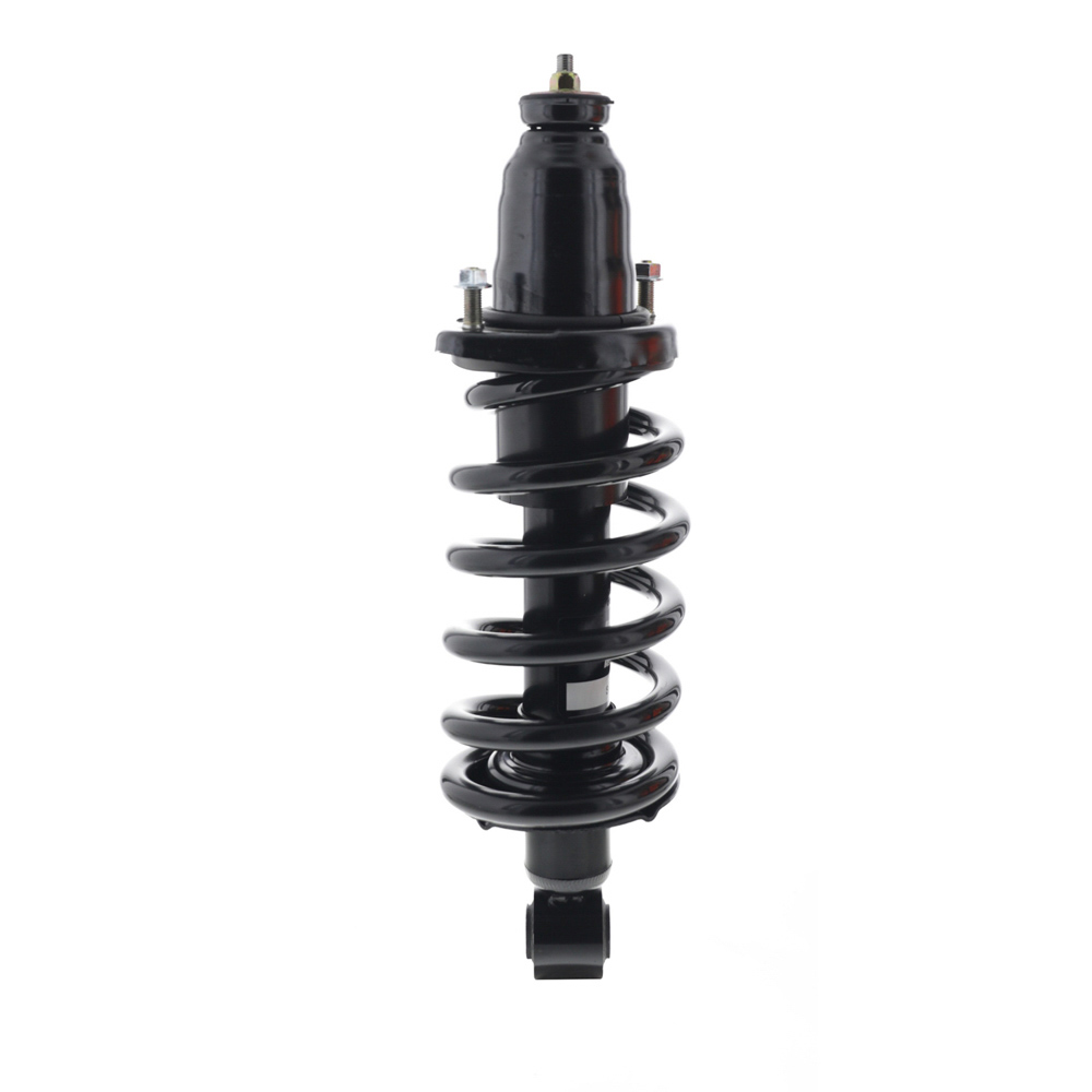 2007 Honda Element Strut and Coil Spring Assembly