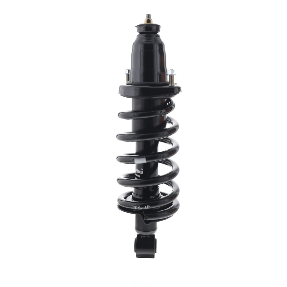 2007 Honda Element Strut and Coil Spring Assembly