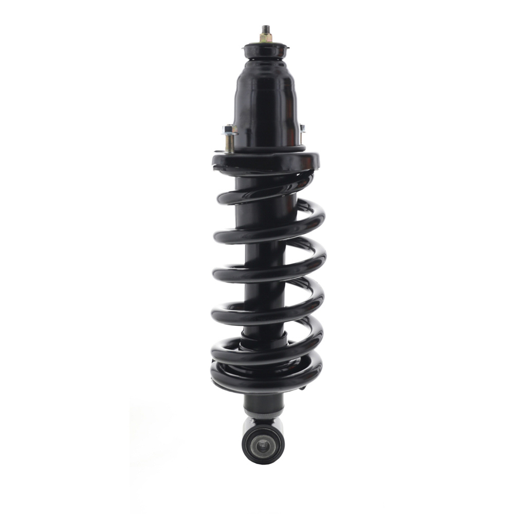 2007 Honda Element Strut and Coil Spring Assembly