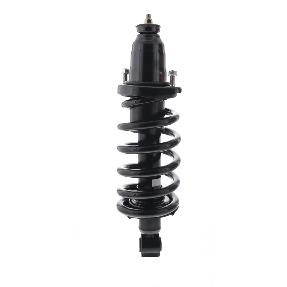 2007 Honda Element Strut and Coil Spring Assembly