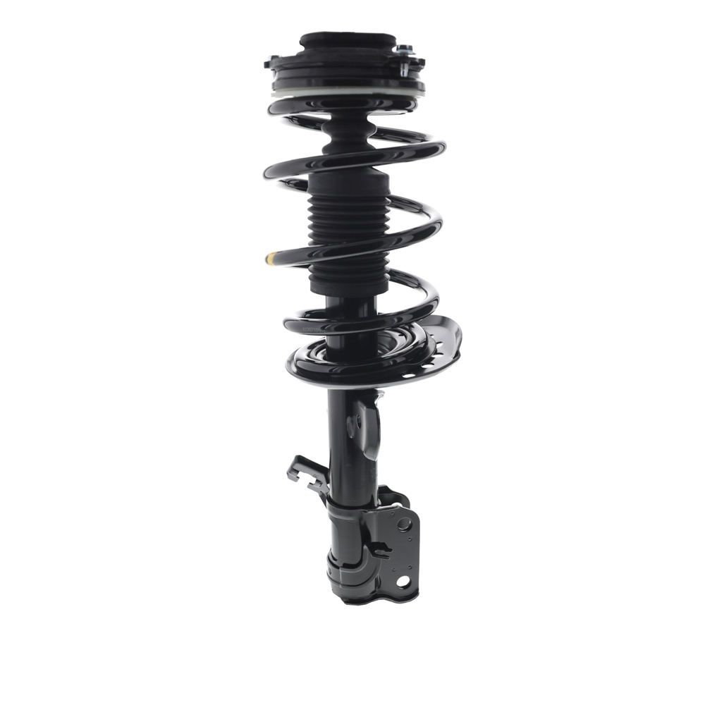 2017 Chevrolet City Express Strut and Coil Spring Assembly