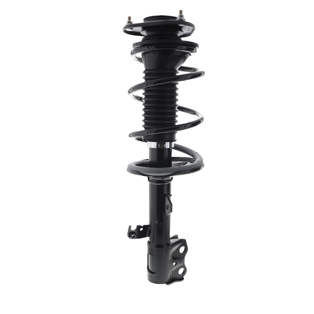 2009 Toyota Matrix Strut and Coil Spring Assembly