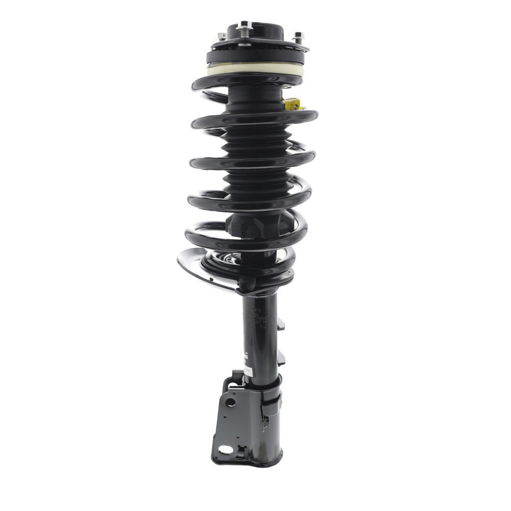 2012 Dodge Journey Strut and Coil Spring Assembly
