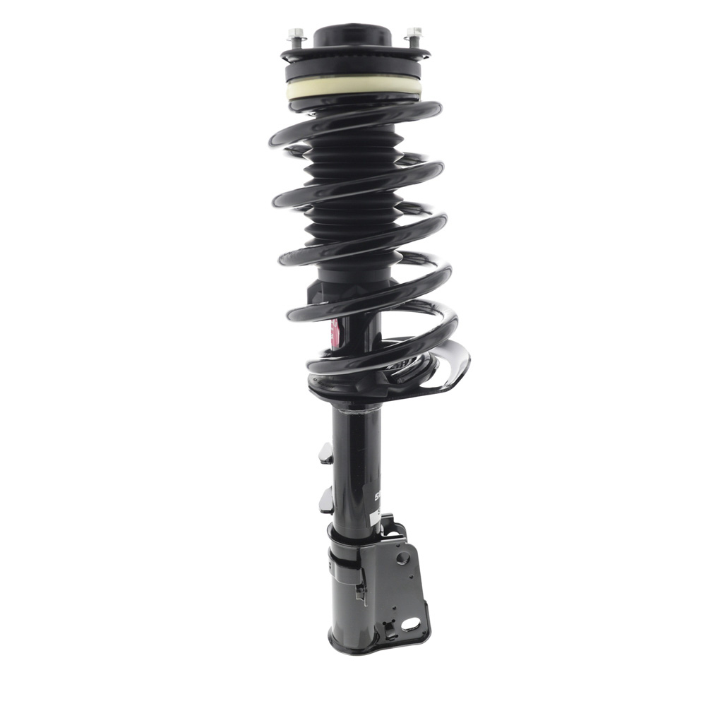 2012 Dodge Journey Strut and Coil Spring Assembly