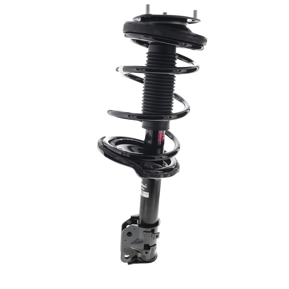 2007 Hyundai Entourage Strut and Coil Spring Assembly