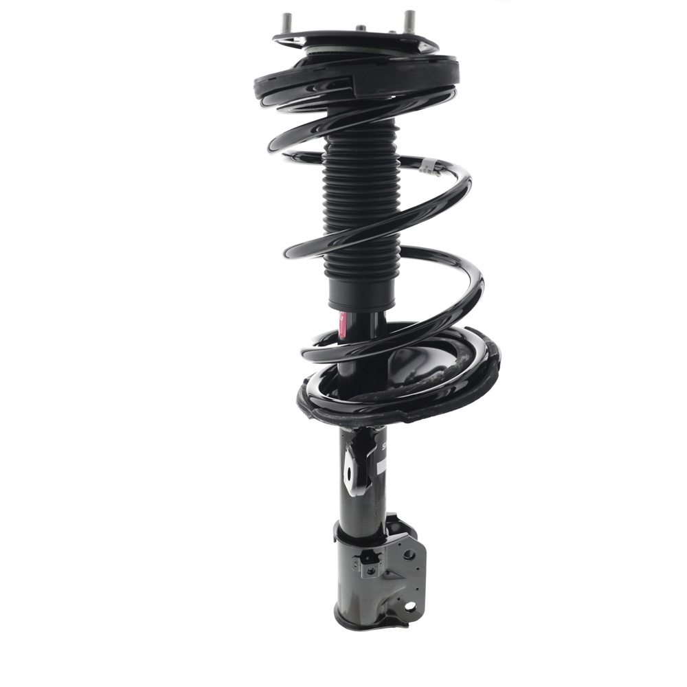 2007 Hyundai Entourage Strut and Coil Spring Assembly