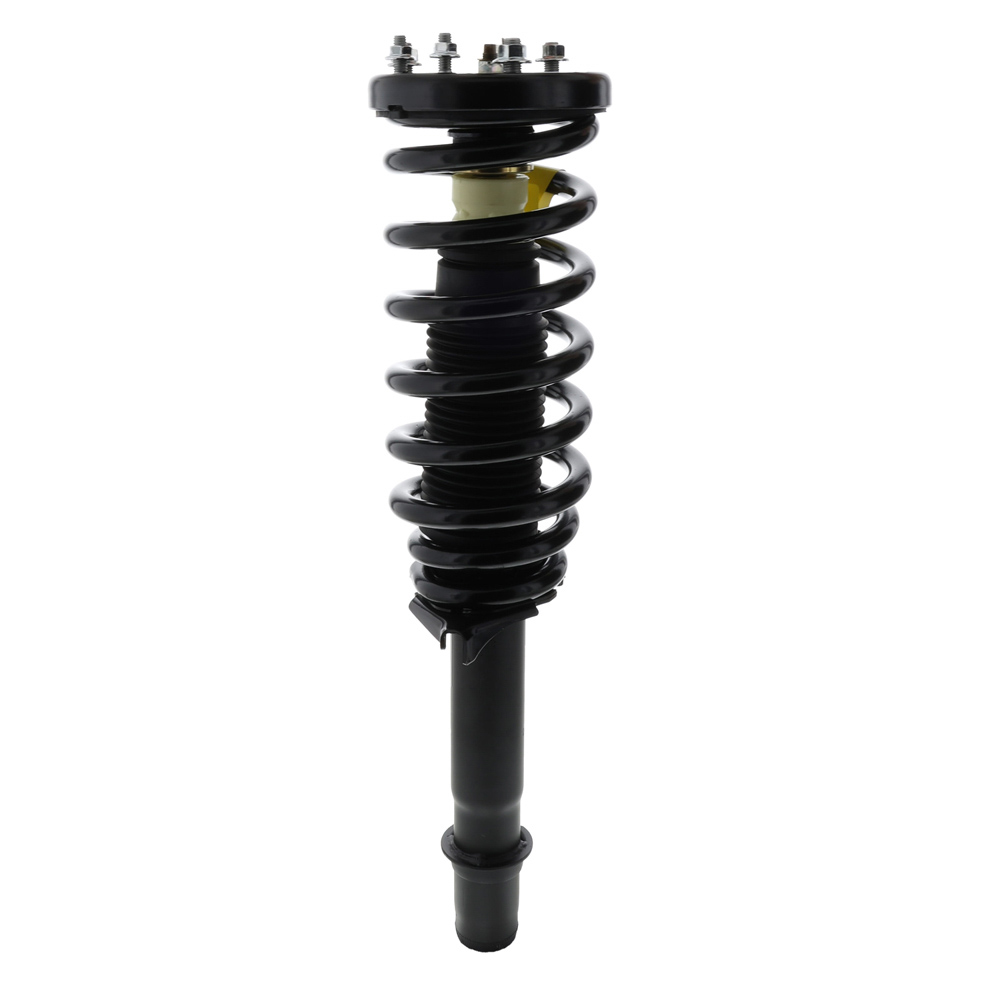 2013 Acura TSX Strut and Coil Spring Assembly