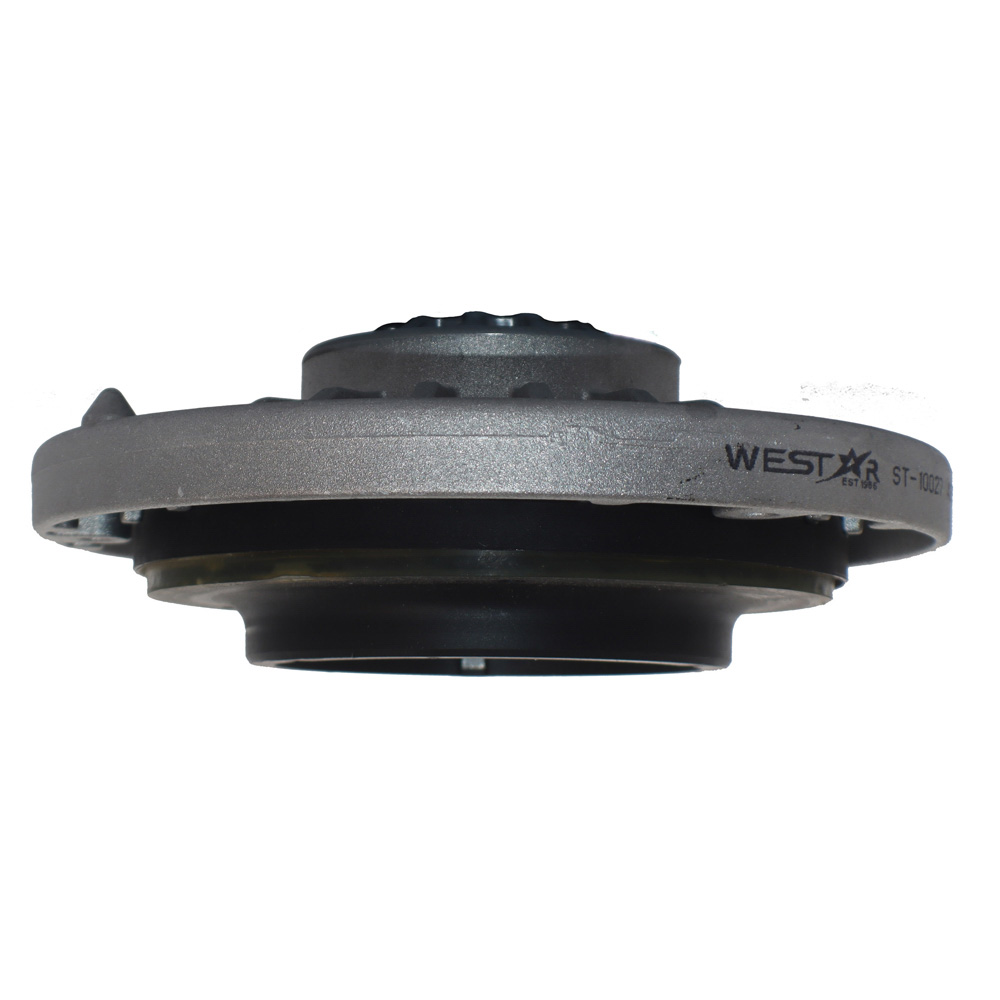 2012 Bmw X3 Shock or Strut Mount