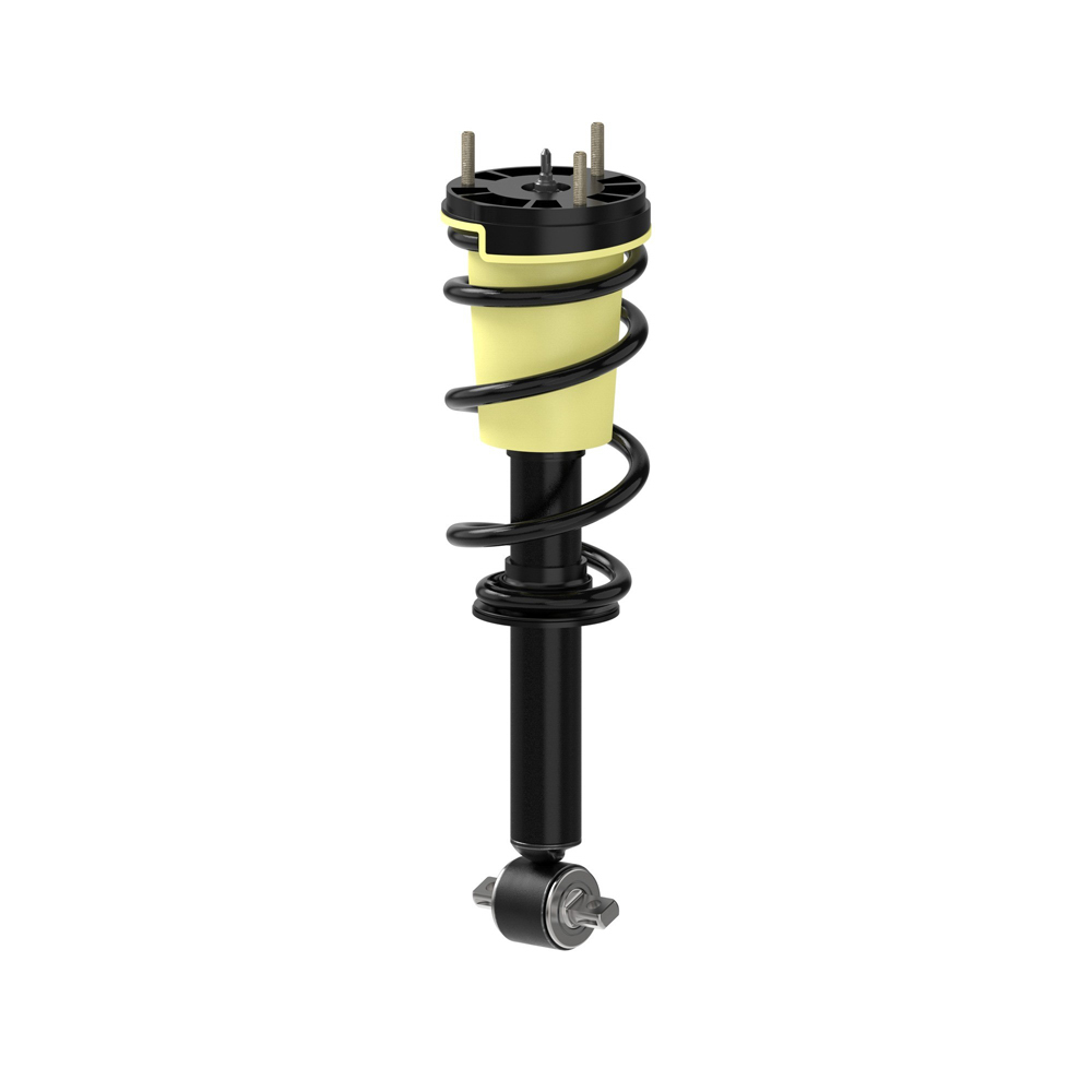 BuyAutoParts 77-79634CX Shock and Strut Set