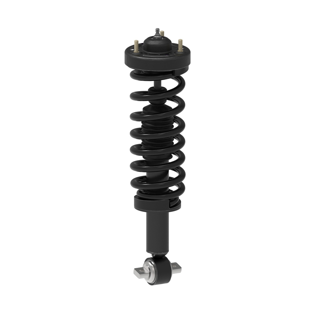 BuyAutoParts 77-79762CX Shock and Strut Set