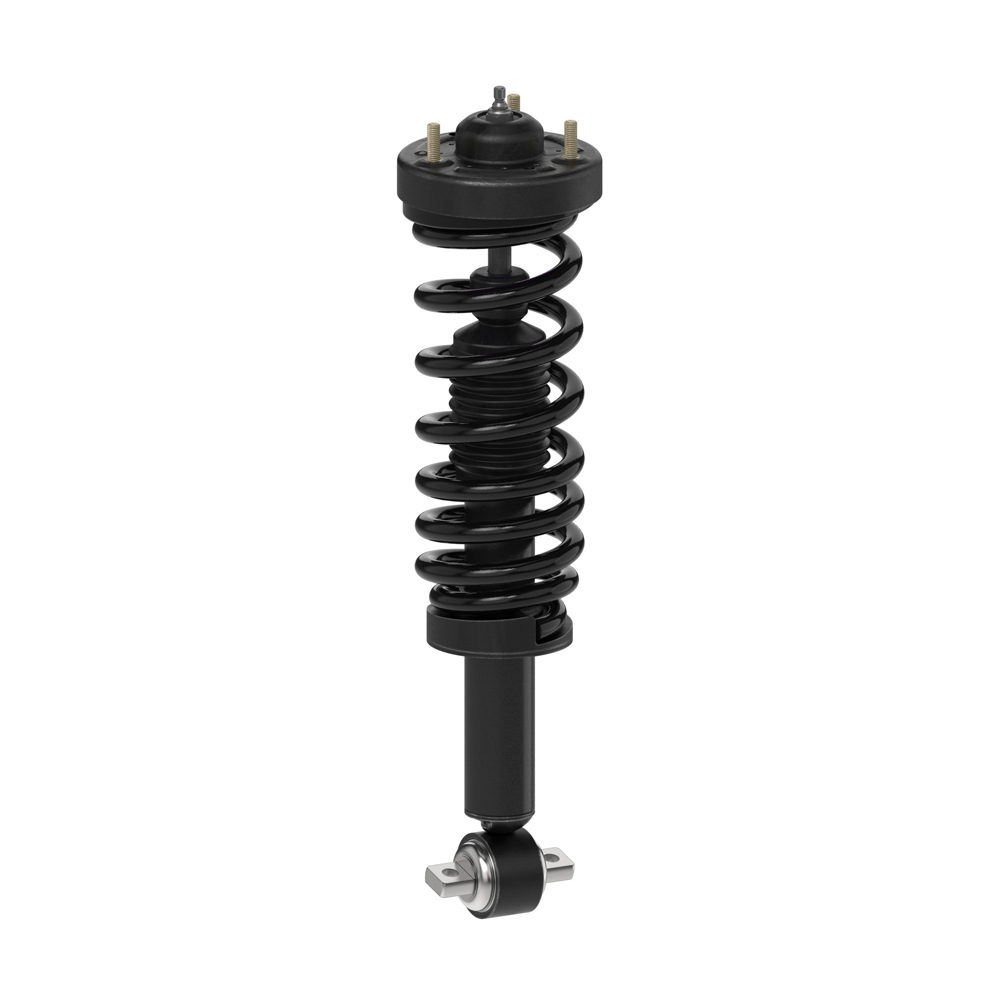 2021 Ford F Series Trucks Shock and Strut Set