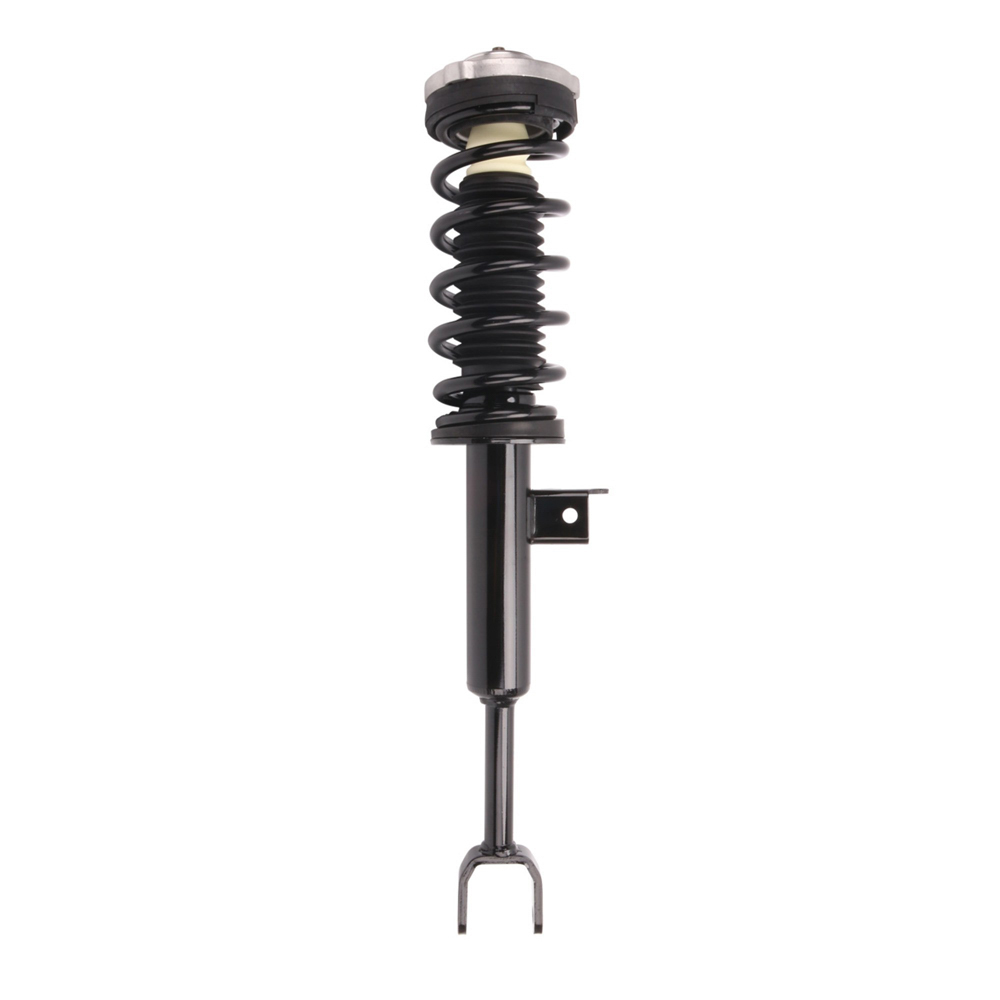 2012 Bmw 528 Strut and Coil Spring Assembly