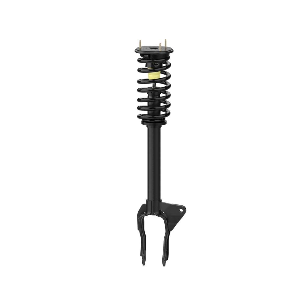BuyAutoParts 77-78709CX Shock and Strut Set