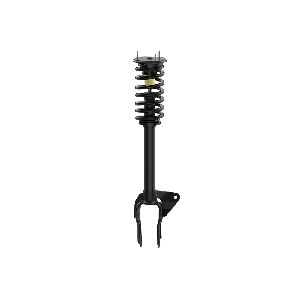 BuyAutoParts 77-78709CX Shock and Strut Set