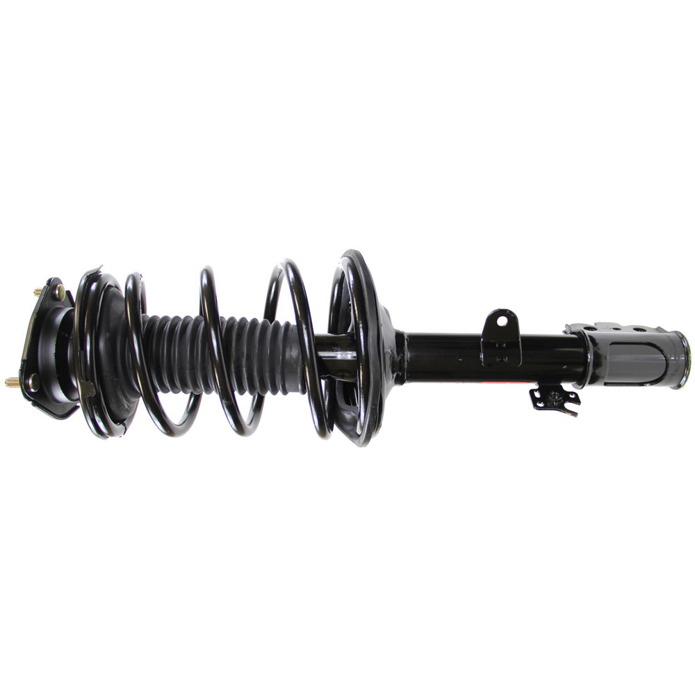 2004 Toyota RAV4 Strut and Coil Spring Assembly