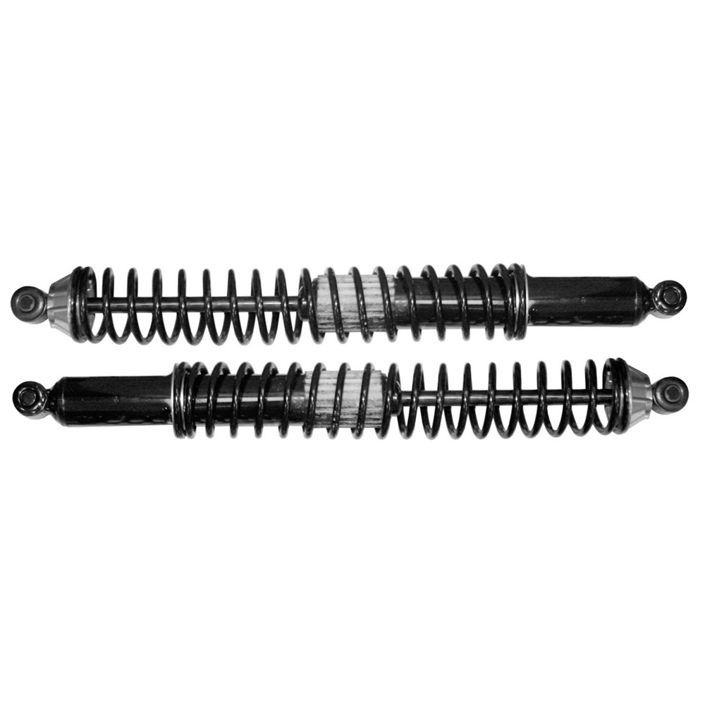 2000 Dodge Dakota Shock and Strut Set