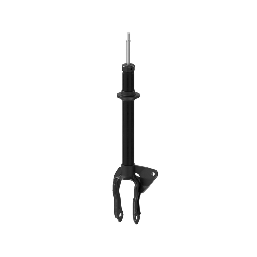 BuyAutoParts 77-78702CV Shock and Strut Set