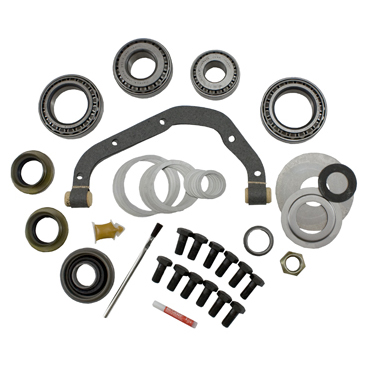 1969 Ford Galaxie 500 Differential Rebuild Kit