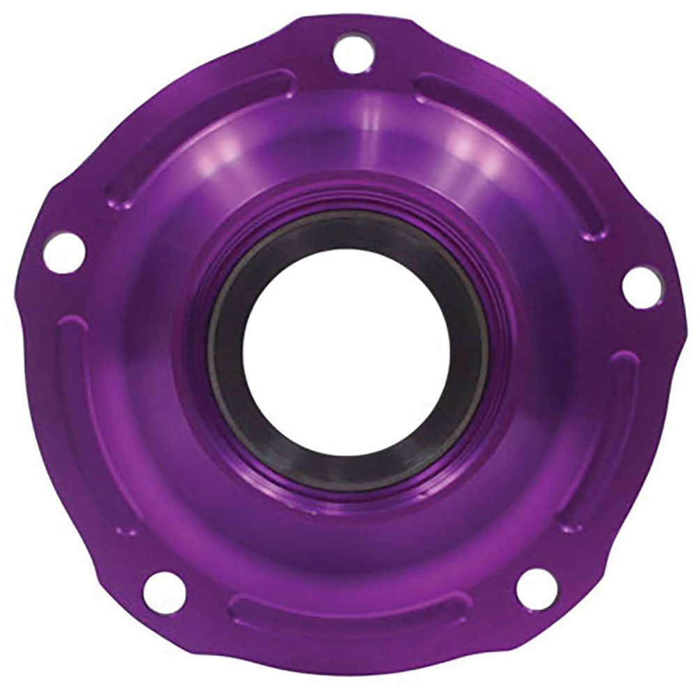 Mercury Capri Differential Dropouts and Pinion Supports