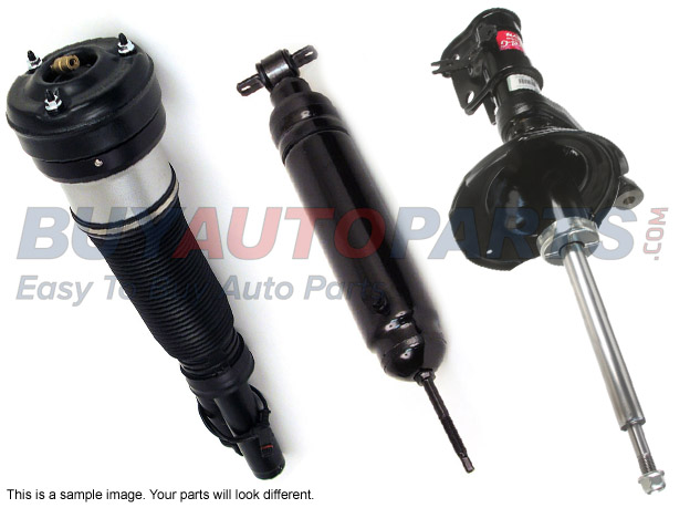 Shock and Strut Set