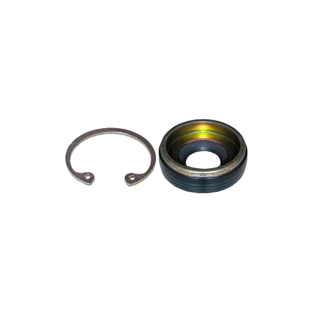 1990 Buick Skylark A/C Compressor Shaft Seal Kit