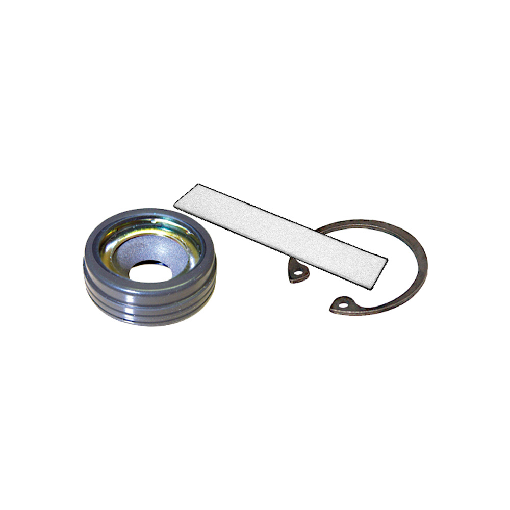 BuyAutoParts AG-L0059AN A/C Compressor Shaft Seal Kit