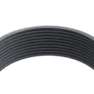 2017 Freightliner M2 112 Serpentine Belt 2