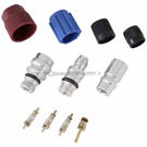 BuyAutoParts Cadillac A/C System Valve Core and Cap Kit AQ-B0022AN
