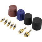2000 Mack CX A/C System Valve Core and Cap Kit 1