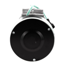 Sanden 4302 A/C Compressor 3