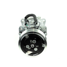 2019 Specialty-And-Performance Sanden A/C Compressor 3