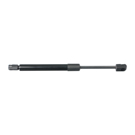 BuyAutoParts TQ-T1062AN Trunk Lid Lift Support 1