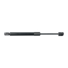 2002 Buick Regal Trunk Lid Lift Support 1