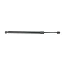 2000 Honda Accord Hood Lift Support 1